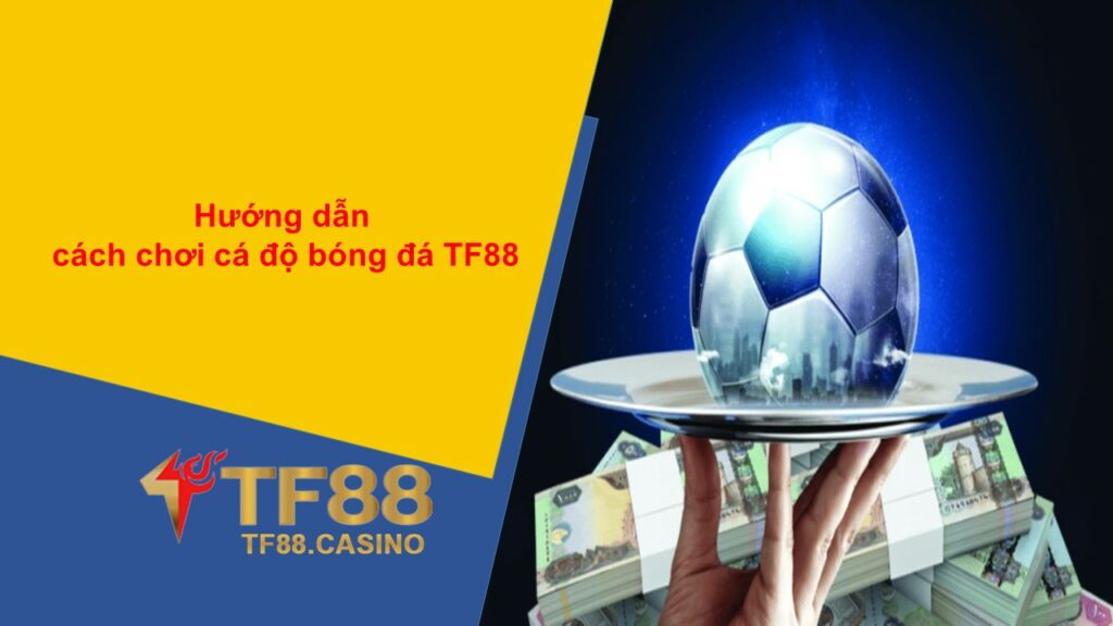 Hướng dẫn cách chơi cá độ bóng đá TF88