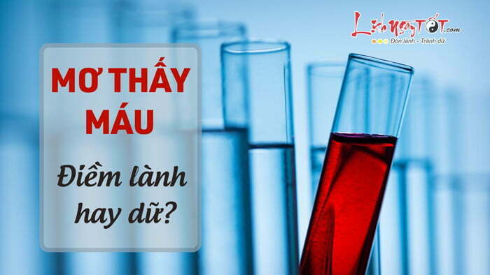 Mùng 1 nằm mơ thấy máu là lành hay là dữ?