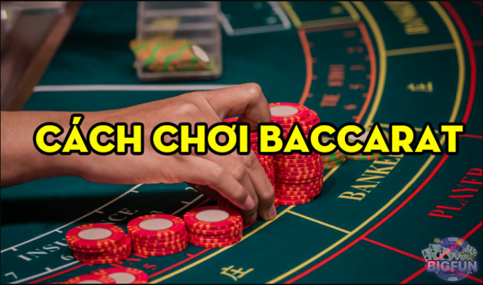 Cách chơi Baccarat đơn giản