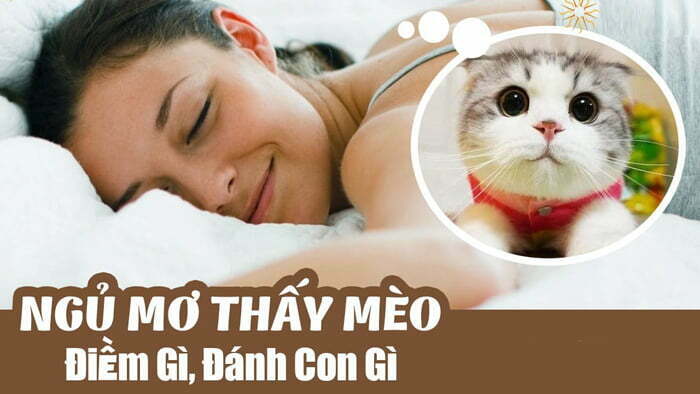 Nằm mơ thấy mèo là điềm báo gì?