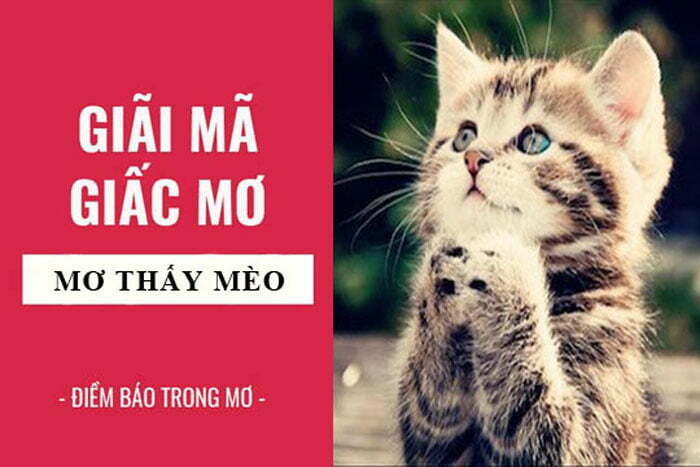 Mỗi giấc mơ sẽ mang ý nghĩa riêng 