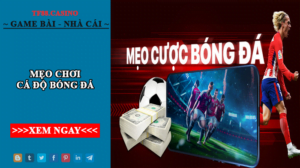 mẹo chơi cá độ bóng đá