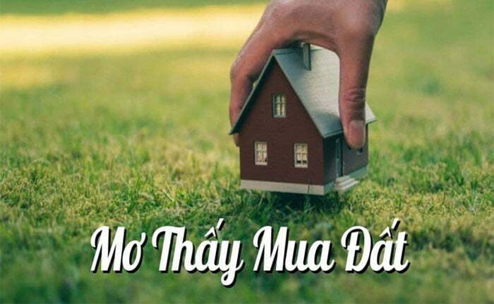 Mơ thấy mình đi mua đất có mang lại may mắn hay không? 