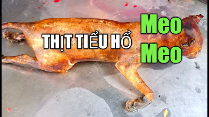 Mỗi giấc mơ ăn thịt mèo đều có ý nghĩa riêng biệt