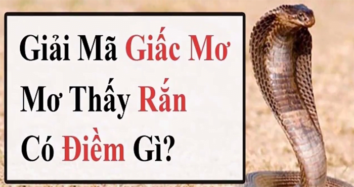 Nằm mơ thấy rắn là điềm báo gì?