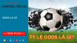 Odds là gì? Chia sẻ cách đọc odds để kiếm về lợi nhuận cho bản thân